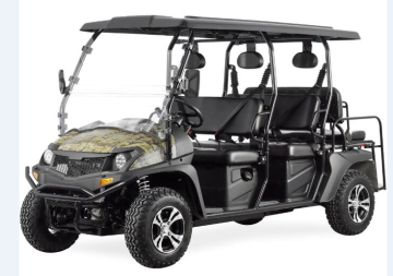 Super Fast Side-by-Side 4-Passenger UTV