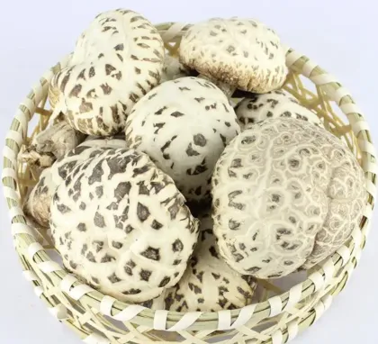 Dried Flower Mushroom Dry Bulk Organic Dried Mushrooms