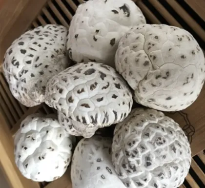 Dried Flower Mushroom Dry Bulk Organic Dried Mushrooms