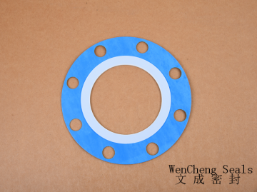 PTFE Series/CNAF Gasket Series(Blue+8holes)