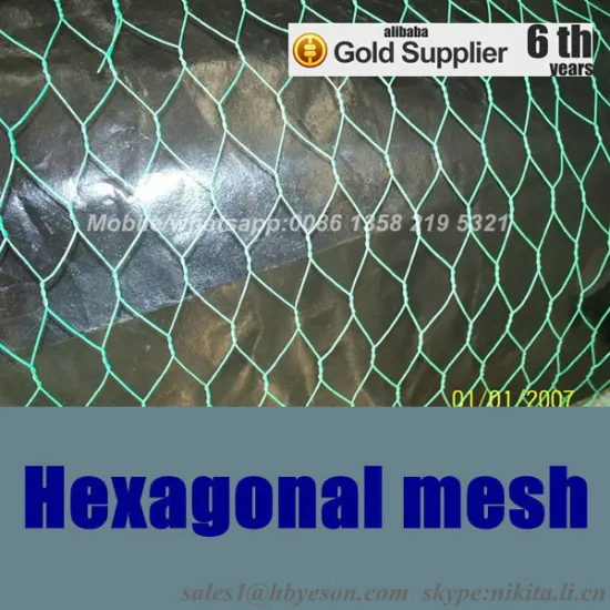 hexagonal mesh,hexagonal wire mesh,galvanized hexagonal wire netting