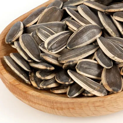 sunflower seeds nuts 361