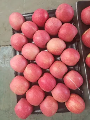 Red Lady Fresh Apples