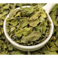 Herbal Extract Nettle Root&Leaf Extract /Urtica Urtica Fissa E. Pritz. Extract