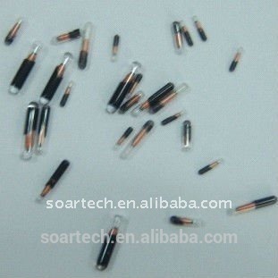 veterinary syringe with enbedded RFID glasstag
