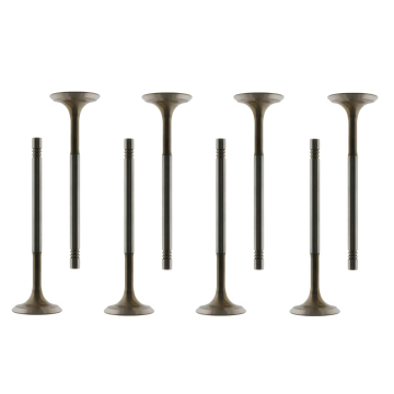 036109611K Exhaust Valve for Engine