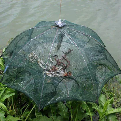 10 fish entrance umbrella shape cast fishing net
