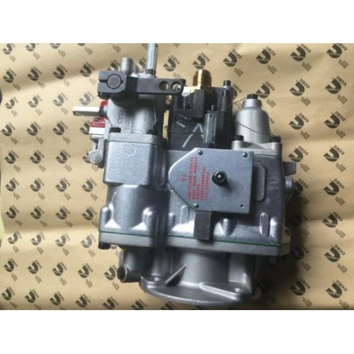 CCEC NTA855 Motor 4951495 Kraftstoffeinspritzpumpe