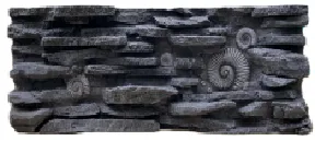 Grey Animal Fossil Background Board