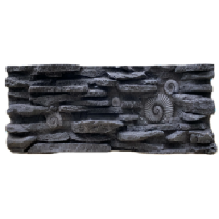 Placa de fundo fóssil de animal cinza