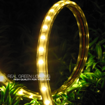 Wholesale 110V/220V Super Bright SMD 5730 LED Strip Lights