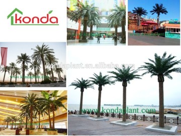 2015 Artificial trees and plants, artificial palm trees ,indoor artificial date palm tree