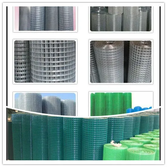 export welded wire mesh with cheap price and high quality