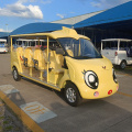 11-seat closed petrol sightseeing car