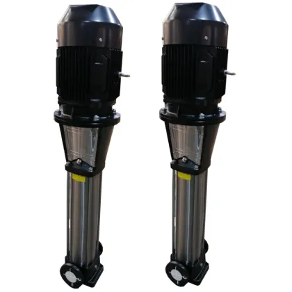 CDLF Wholesale High Quality Vertical SS304 Multistage Centrifugal Water Pump SHIMGE CNP 22 KW
