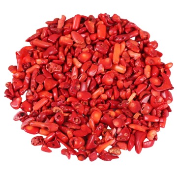 Chip Red Coral Beads for Home Decoration & Decor Making Jewelry 100Gram Crushed Irregular Tumbled Stone Pieces Beads No hole