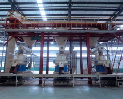 Asia Biggest Wood Pellet Production Line