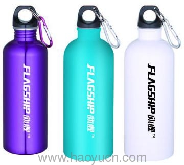 colour stainless steel single wall sports bottles