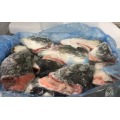 Frozen Salmon Heads 400-500g