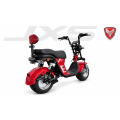 JXS Cruiser 1