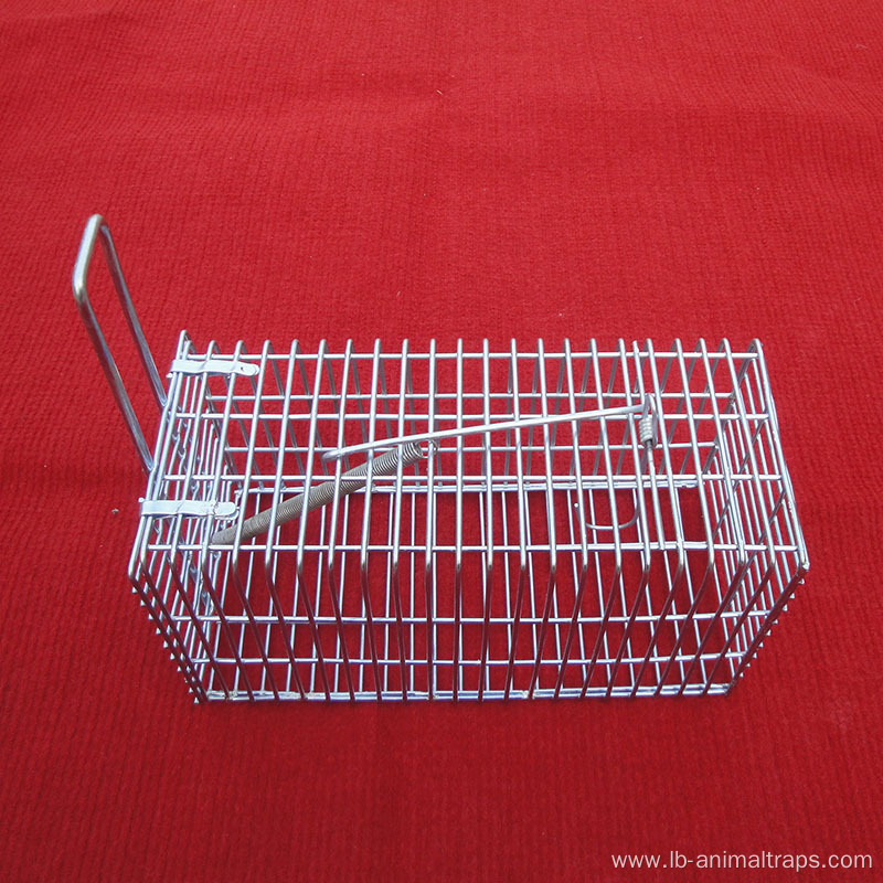 Squirrel Small Single Door Cage Animal Trap