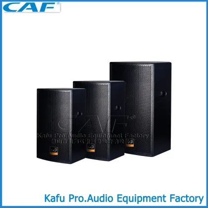 PRO AUDIO SPEAKER PA SPEAKER