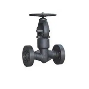 High Pressure  Globe Valve