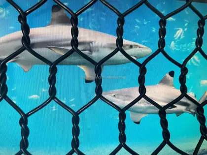 Factory Direct Deep Sea Fish Farming Machines & Marine Farm Equipment