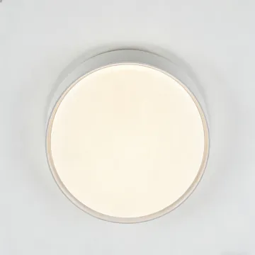 Soft matte finish ceiling light