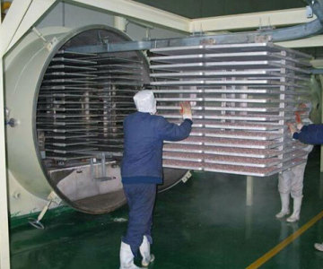 stainless steel microwave vacuum dryer