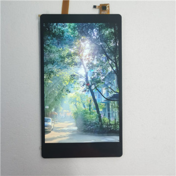 Display LCD TFT da 8,0 pollici