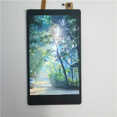 8.0 Inch TFT LCD Display