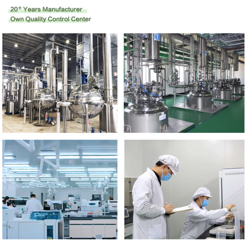 Екстракт садница пшенице за имунолошку подршку