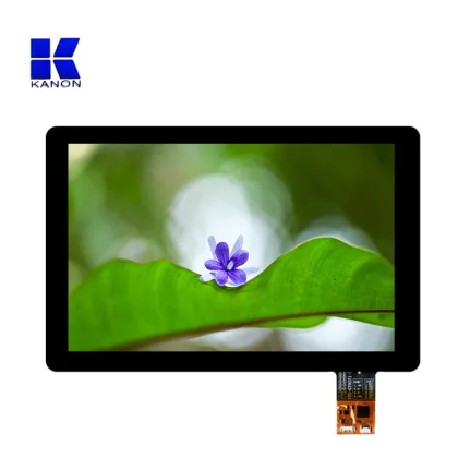 Innolux OEM 10.1 Inch HD Touch Screen Display