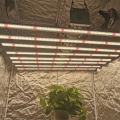 800W LM301H LED HPS Grow Light plantor