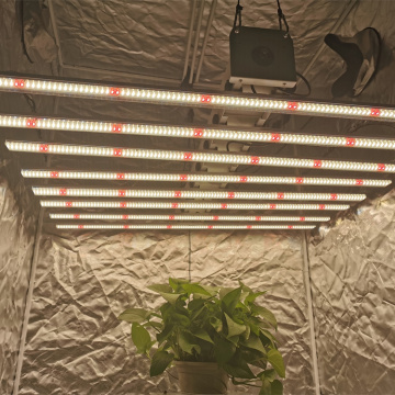 800W LM301H LED HPS تنمو شتلات الضوء