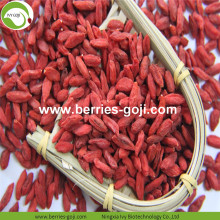 Factory Supply Fruits Healthy  Variety Goji Berry