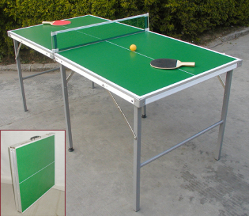 Minitable Tennis Table (TE-10)