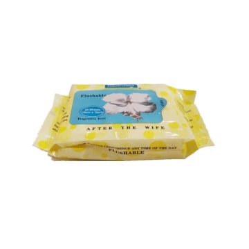 Wholesale Flushable Wet Wipes Custom Cleaning Wet Tissues