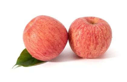 High Yield And Quality Red Fuji Apple