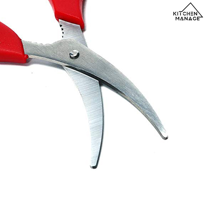 Best Seafood Scissors