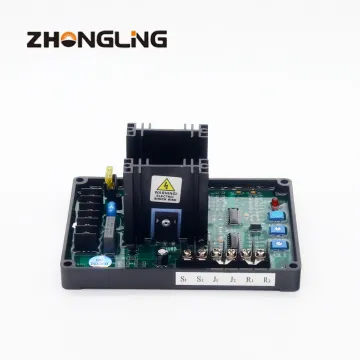 Affordable Genset Brushless Generator with Automatic Voltage Regulator (AVR) - 20A Output