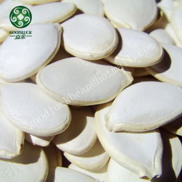 snow white pumpkin seeds (China origin)