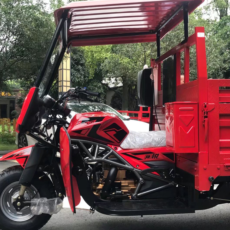 Daily Use Tricycle