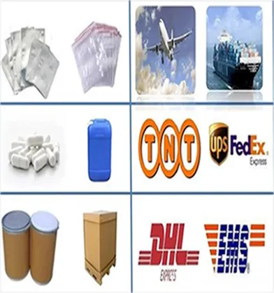 High Quality L-Carnitine Wholesale CAS 541-15-1