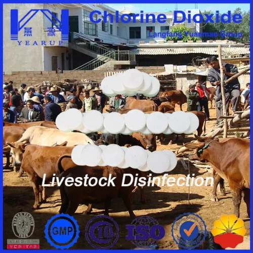Livestock Disinfectant Chlorine Dioxide For Cattle And Pig Animals