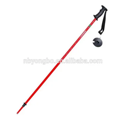 Fashionable wholesale cheap colorful carbon new design ski pole swix ski