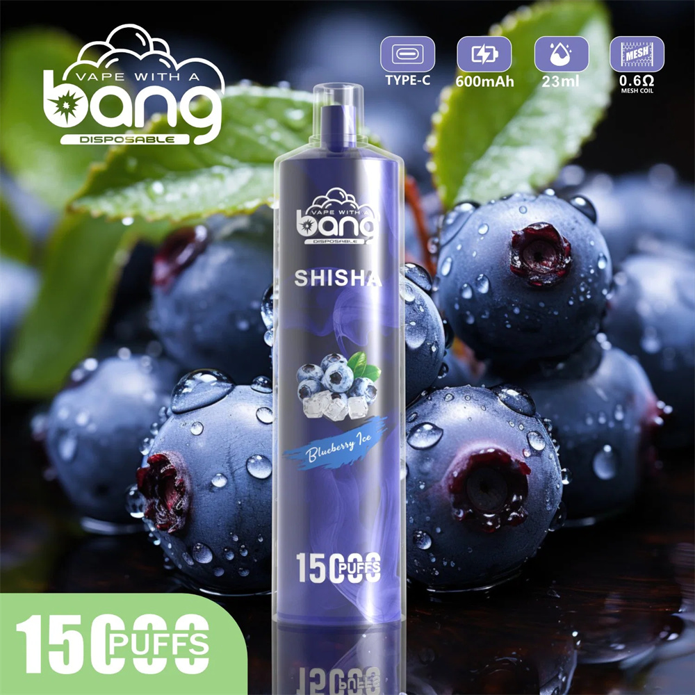 Bang Shisha 15000 Puff Vape dùng một lần bán buôn Pháp