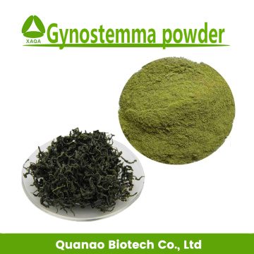 Gynostemma Pentaphyllum Leaf Extract Gypenoside 98% Powder