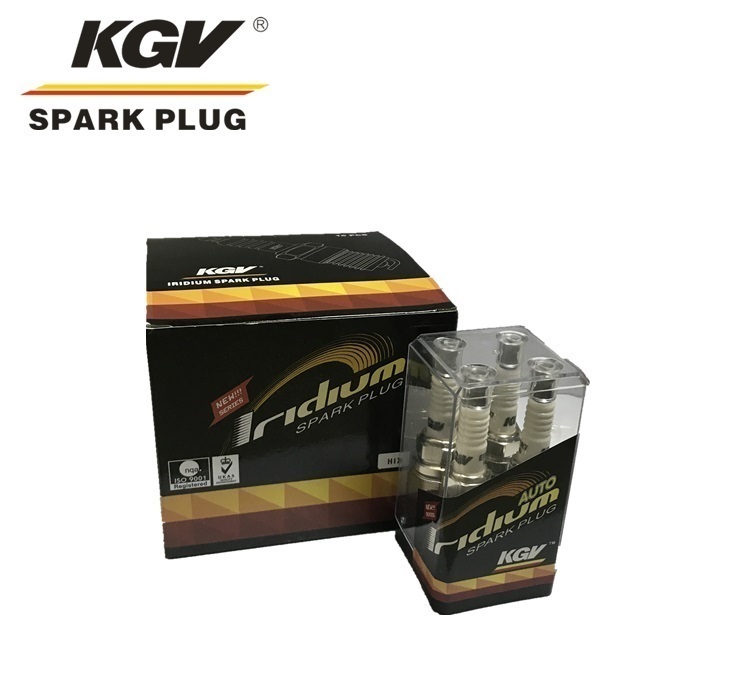 Iridium Spark Plug EIX-BKR6-11 for BYD F3